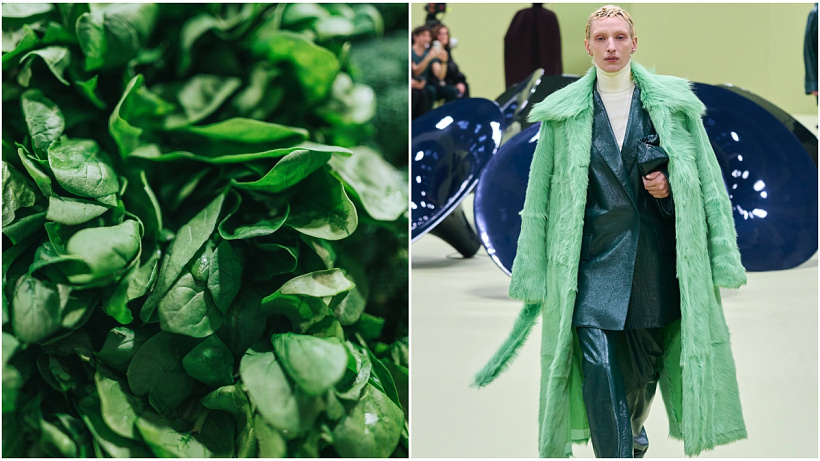 Silný antioxidant a oblíbený #SkinFood je navíc plný bílkovin – je proto také jedním z největších přátel plochého břicha.