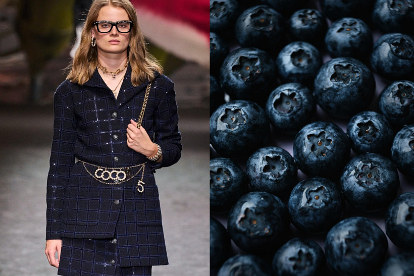 Antioxidanty: borůvky