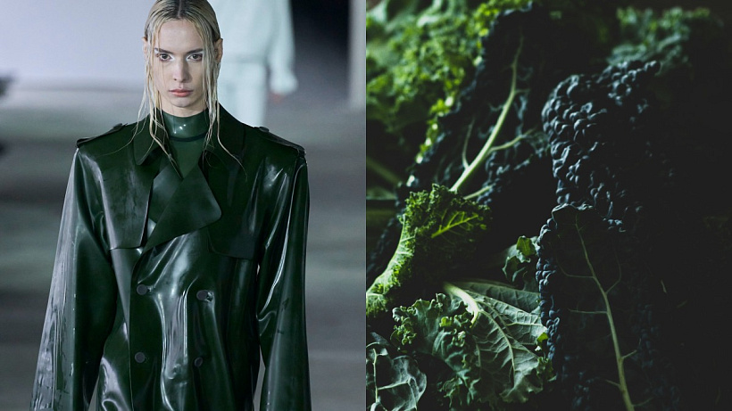 Proč je kadeřávek oblíbenou zeleninou všech modelek a hereček? Se všemi svými vitamíny a antioxidanty je doslova superfood potravinou na pleť a linii.