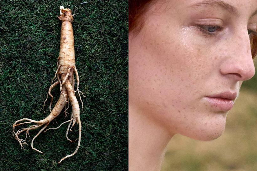 Clean beauty: co jsou adaptogeny a jak prospívají pleti