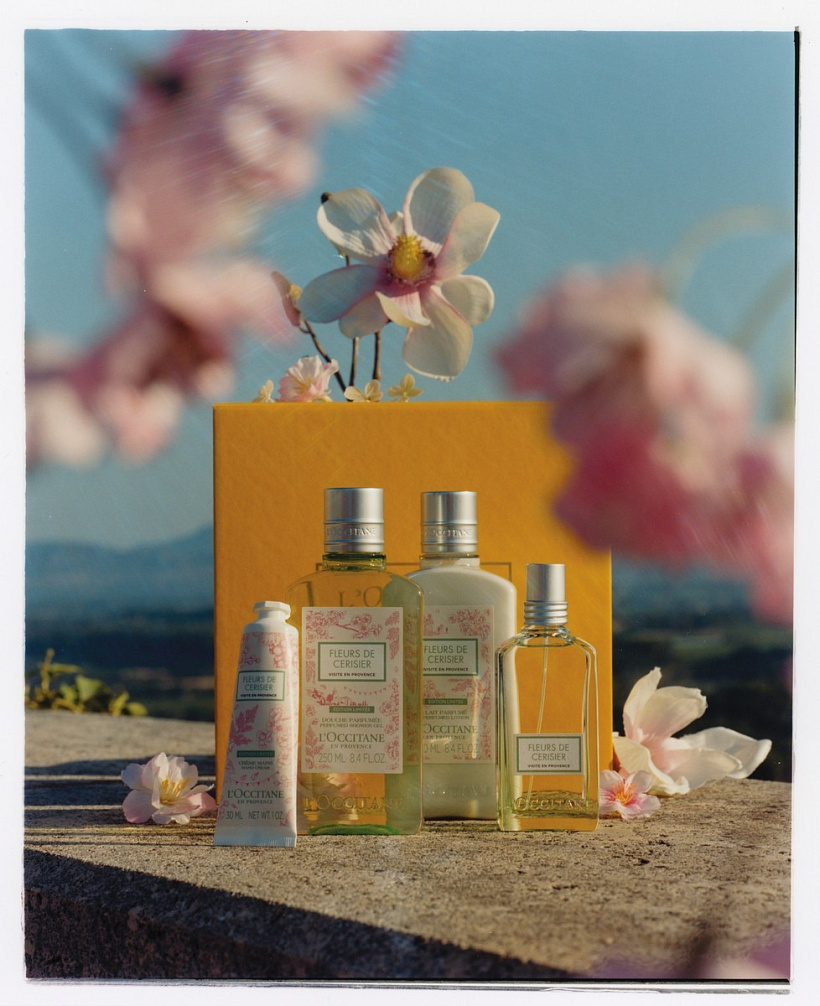 Třešňový květ Visite en Provence od L'Occitane
