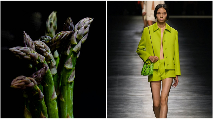 Buržoazní a kdysi zakázaná zelenina je jednou z nejdůležitějších plodin pro ženy – coby silný antioxidant zaručuje pleť bez zánětů a pro těhotné ženy je skvělým zdrojem kyseliny listové.