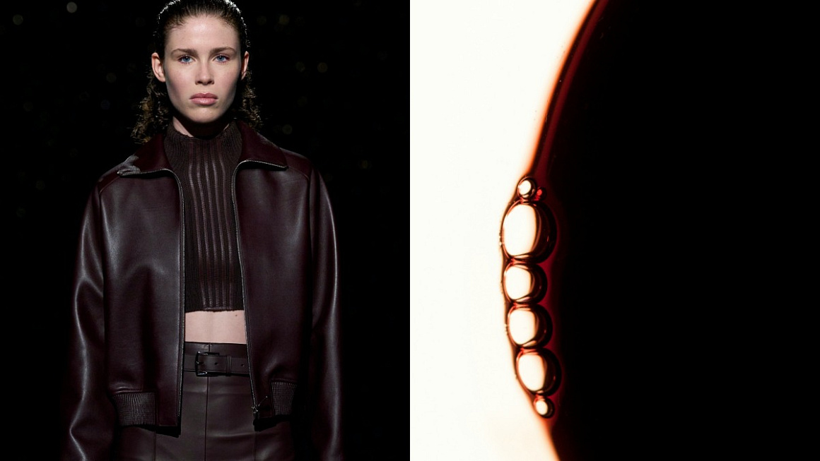 Imunita 101: Antioxidanty