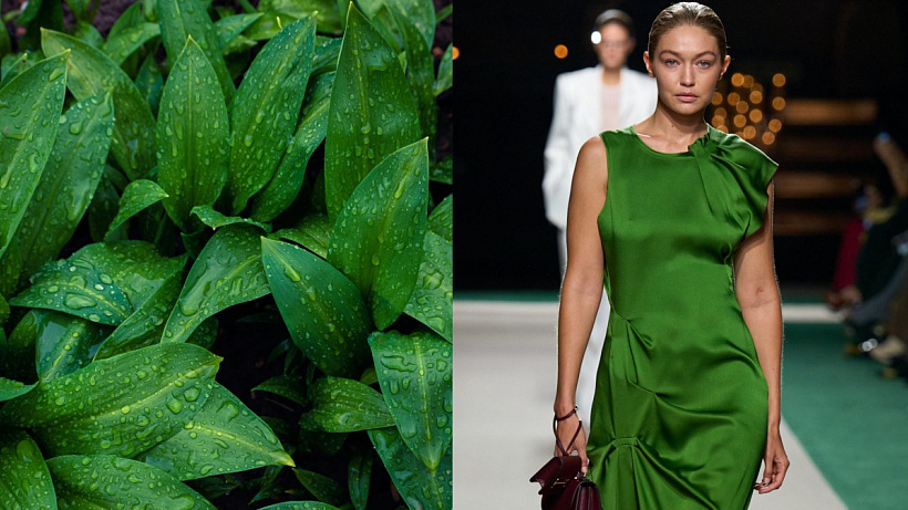 Food of the month: Medvědí česnek Nejlepší jarní bylina, která pomůže proti zánětům a chřipce, podpoří čistá střeva a krásnou pleť bez zánětů, a navíc osvěží jarní jídelníček.