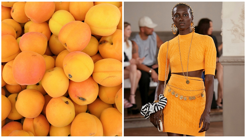 Meruňky posilují vlasy, nehty, pokožku a v neposlední řadě také nervový systém. Poskytují denní dávku vitamínů a hlídají linii.