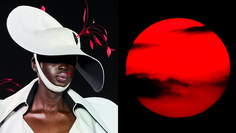 Pro Lvy nastává ideální čas experimentovat, Ryby čeká zkouška jejich vůle a Váhy se musí soustředit na svou intuici v rámci rozhodnutí pro celý nadcházející týden.