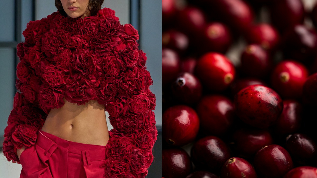 Keep it red: Jak červené ovoce pomáhá spalovat tuky a chránit pleť