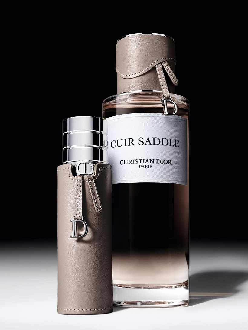 Dior Cuir Saddle