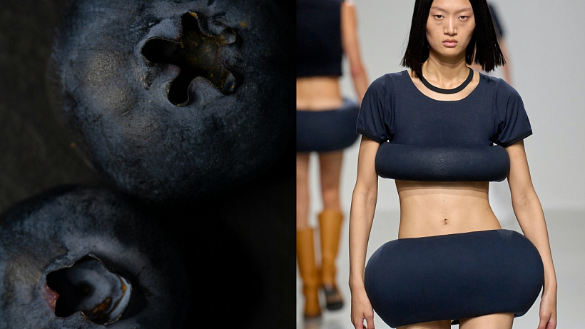 Food of the month: Borůvky jsou superfood pro pleť, který vás zbaví pupínku, oddálí vrásky, zlepší paměť a posílí naše srdce.