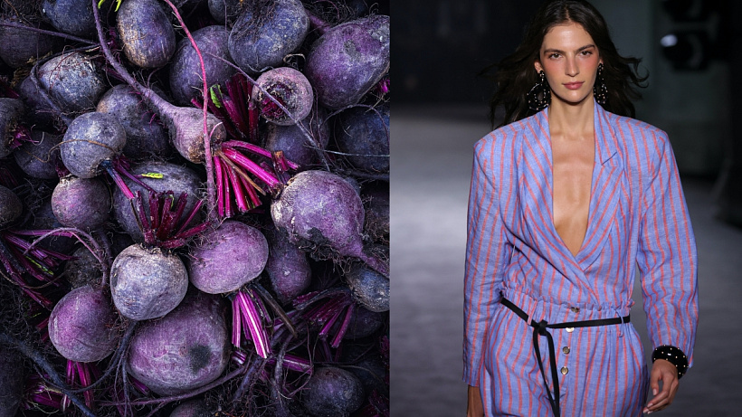 Food of the month: Červená řepa