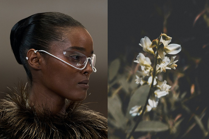 Perfume layering 101: Víte, jak správně vrstvit vůně?