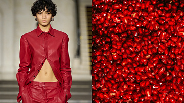 Keep it red: Jak červené ovoce pomáhá spalovat tuky a chránit pleť