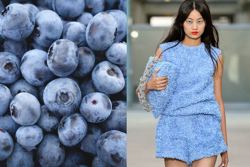 Borůvky jako nejlepší antioxidant pro pleť
