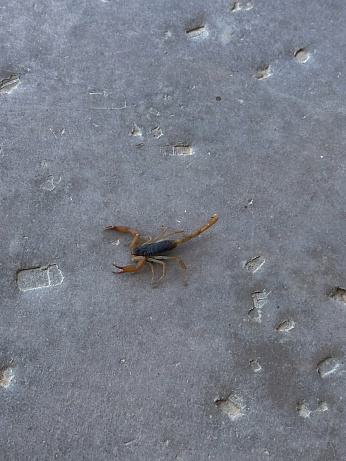 Erika Palkovičová: Nejlepší getaways v Kalifornii