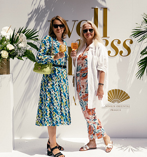 Harper’s Bazaar Wellness Day 2023