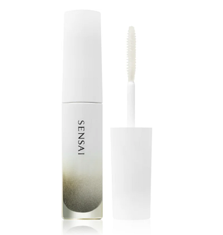 Podkladová báze pro zdravé řasy